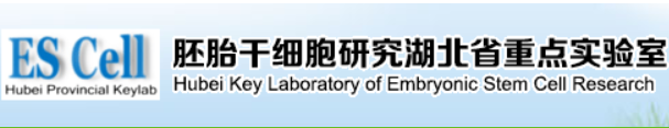 胚胎干细胞研究湖北省重点实验室